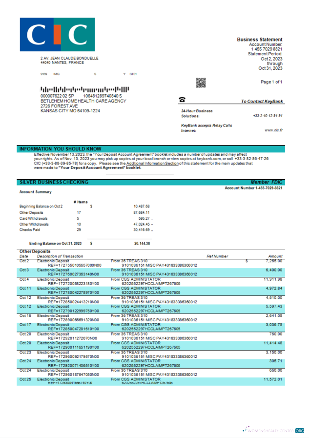 Download CIC Bank enterprise statement Word and PDF template Photoshop template